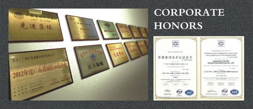 專業溝通無界 廣州市泰領翻譯服務的卓越之道