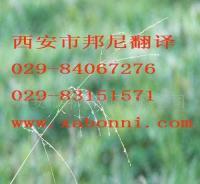 提供各小語種翻譯服務 價格、廠家與一站式解決方案